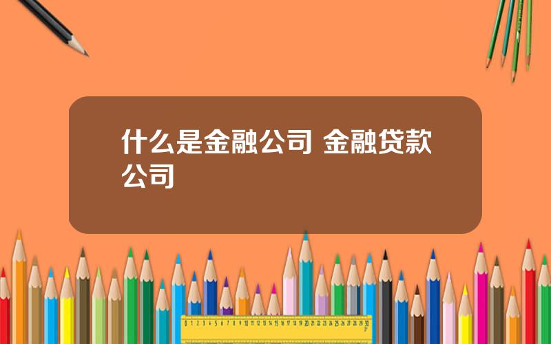 什么是金融公司 金融贷款公司